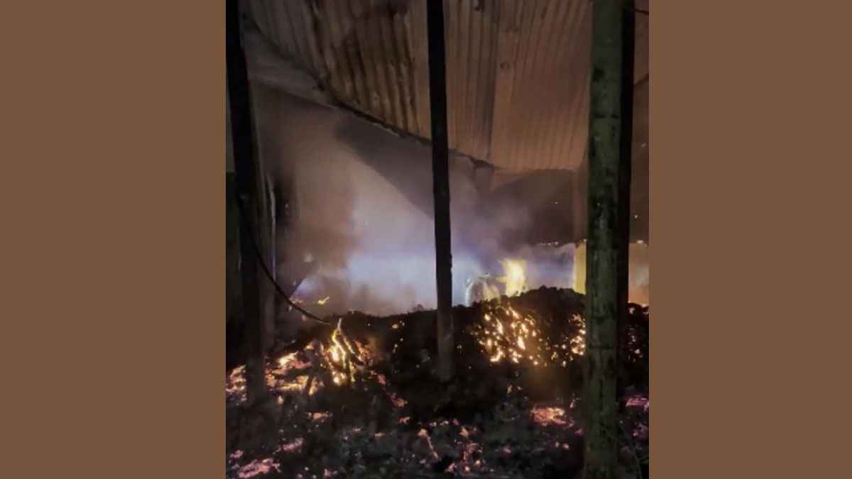 নাটোরে আগুনে পুড়ল বসতবাড়ি ও গবাদিপশু