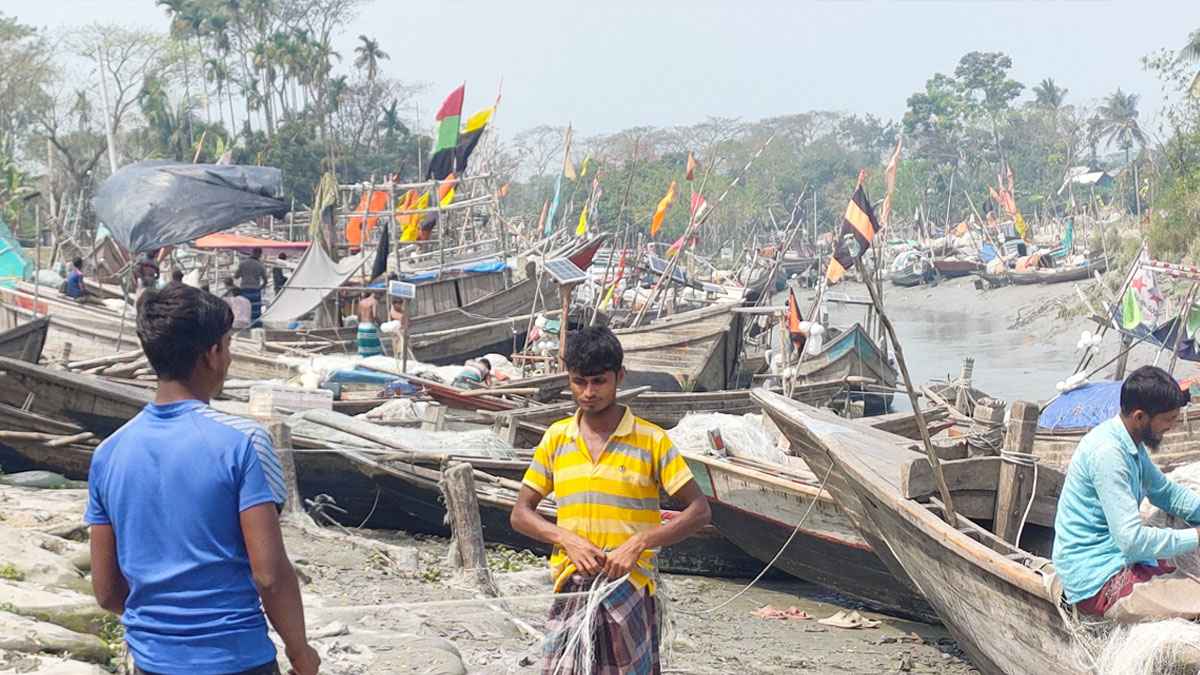 ভোলার ১৯০ কিমি নদী এলাকায় টানা ৬১ দিন মাছ ধরা নিষিদ্ধ