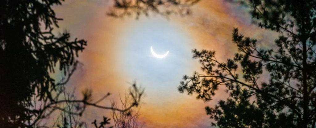 trees-sync-up-during-a-solar-eclipse-in-a-forest-wide-v0-PT7ddLDVJgBdC8pPWj0LGEP_VNaRgh-76w6F2o_PCgc trees-sync-up-during-a-solar-eclipse-in-a-forest-wide-v0-PT7ddLDVJgBdC8pPWj0LGEP_VNaRgh-76w6F2o_PCgc