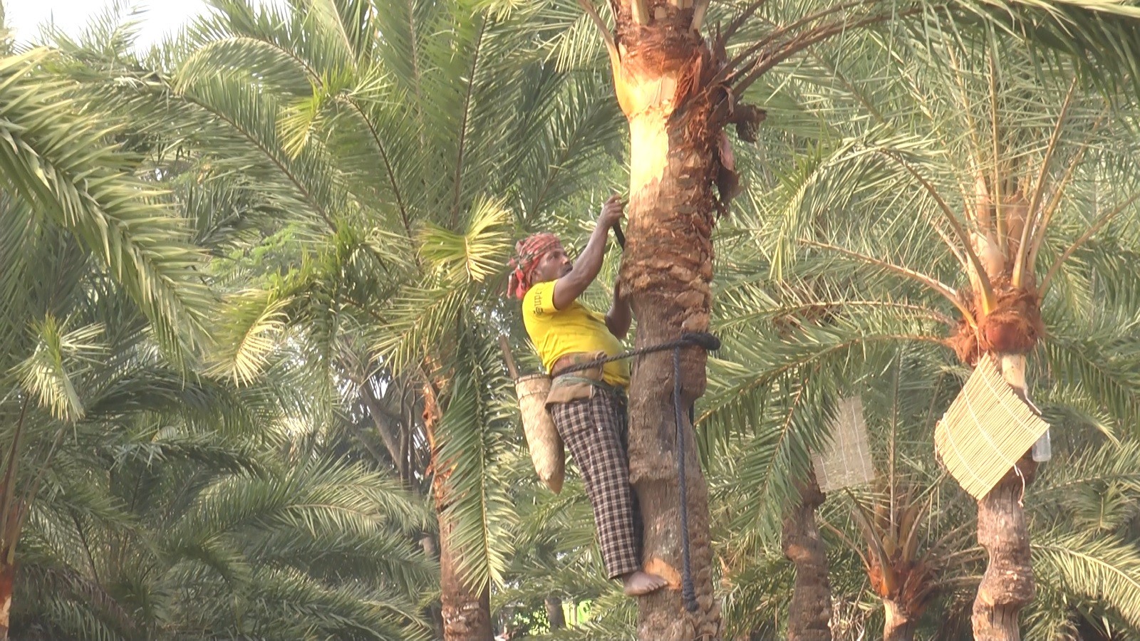 0af6528d-091b-4adc-bce8-a8c2949c9180