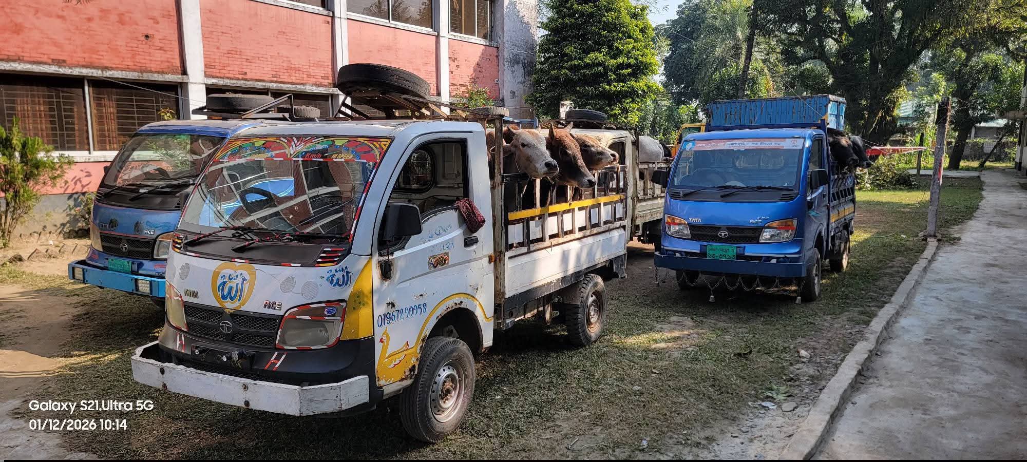 1000181724 1000181724