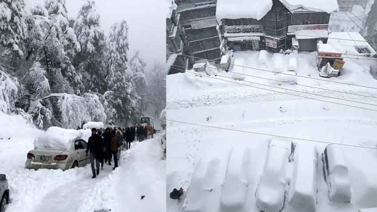 ভয়াবহ তুষারপাতে বিপর্যস্ত পাকিস্তান