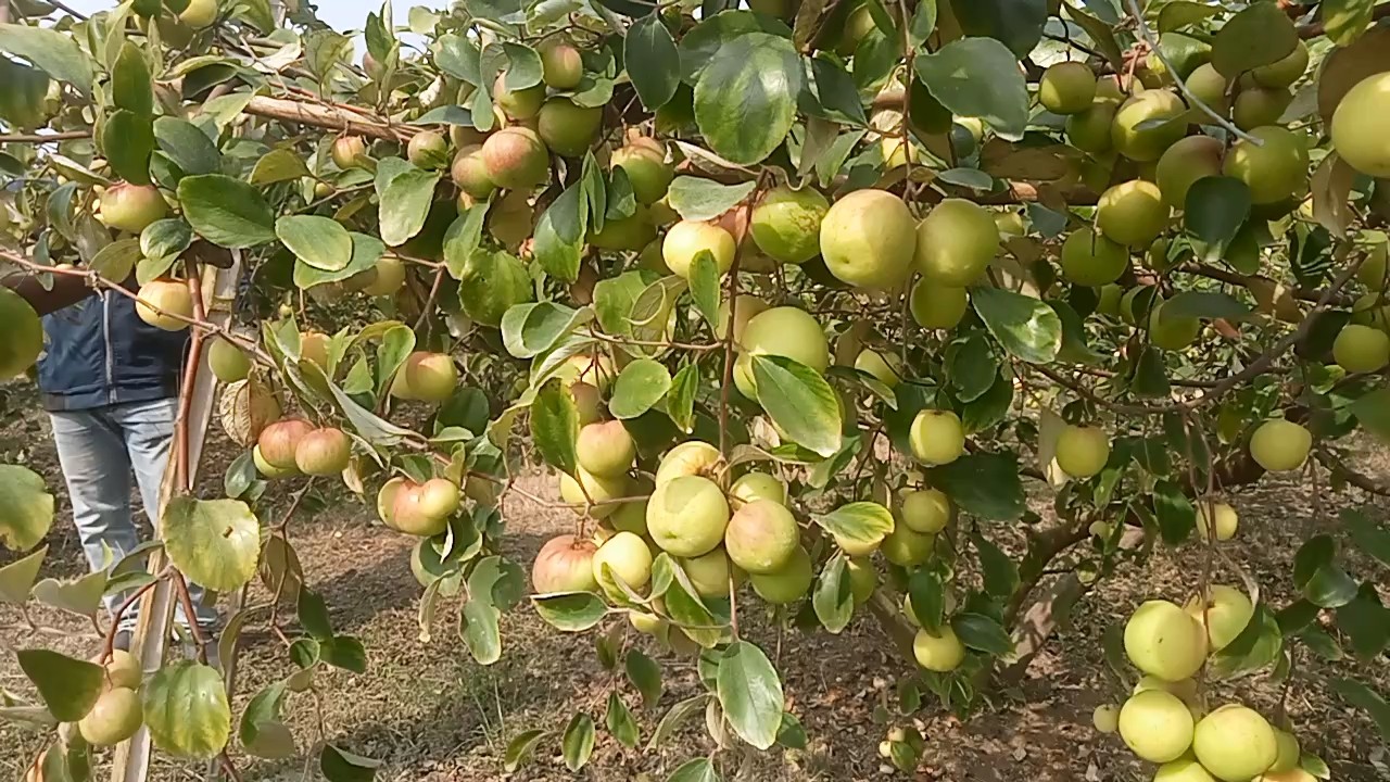 1d1aa36f-84d3-4587-97f4-377202221667