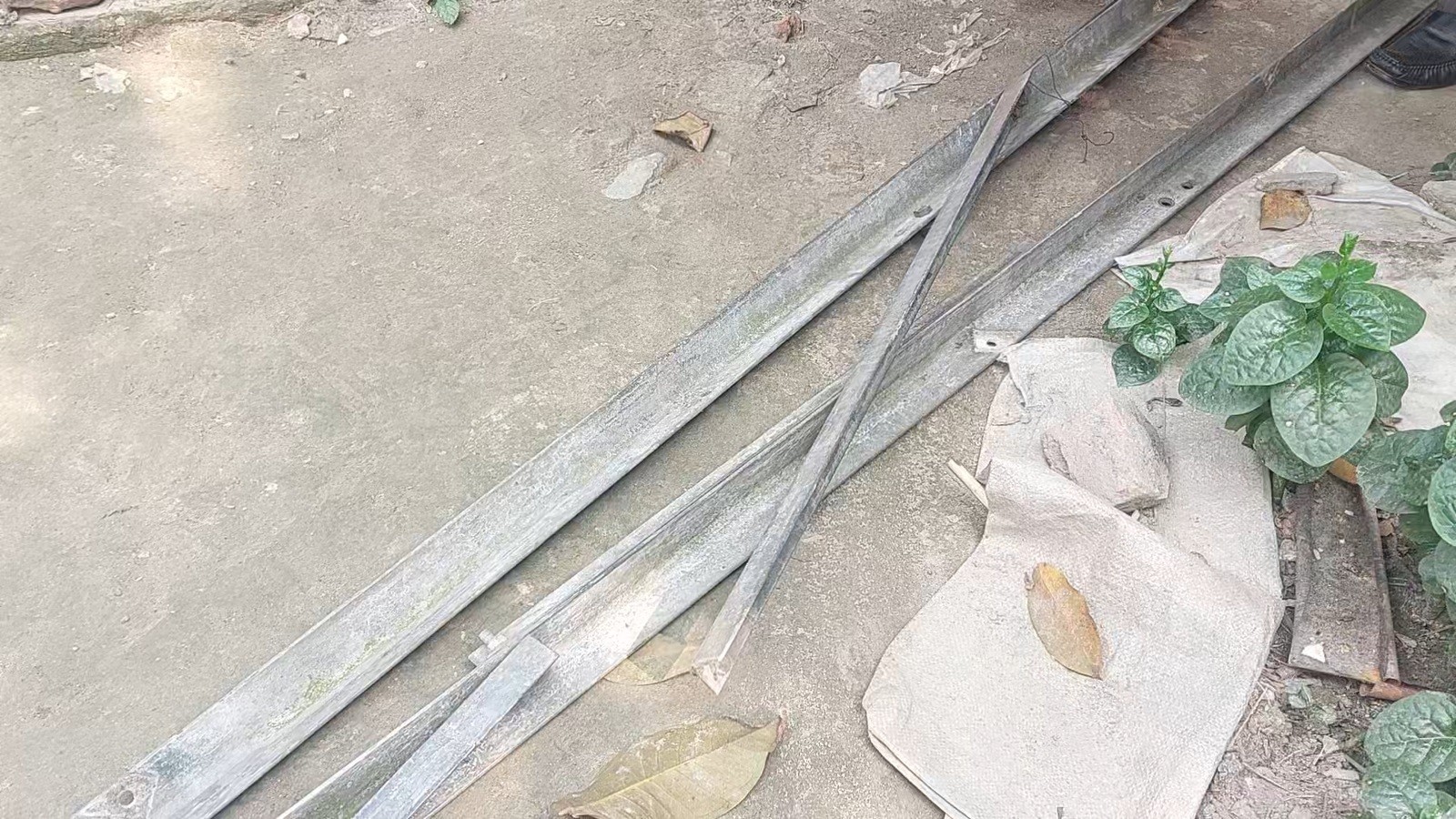 24eae59d-a187-4cc1-9cc0-ff4837124e42