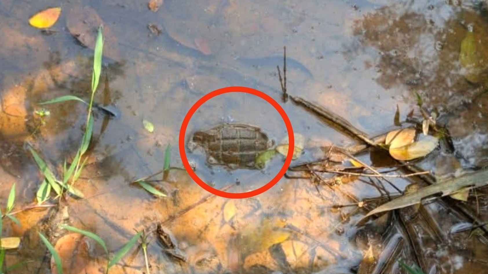 মৌলভীবাজারে বসতবাড়ির পাশে ধানি জমিতে পরিত্যক্ত গ্রেনেড উদ্ধার