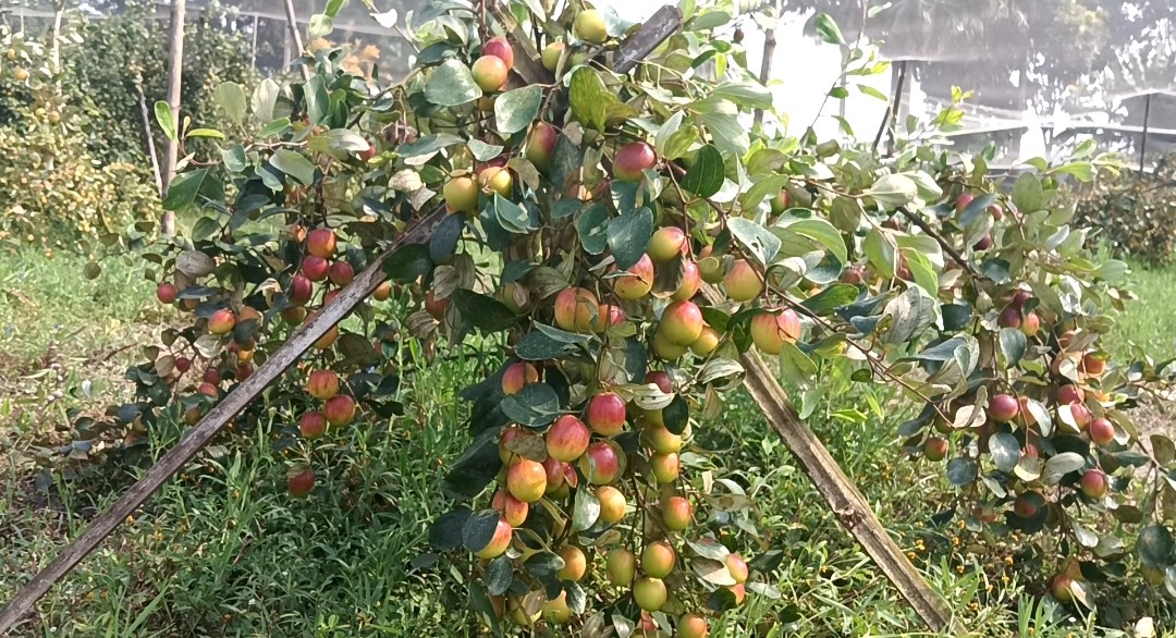 404c6e51-ee12-44be-8e9d-9b4a49695131