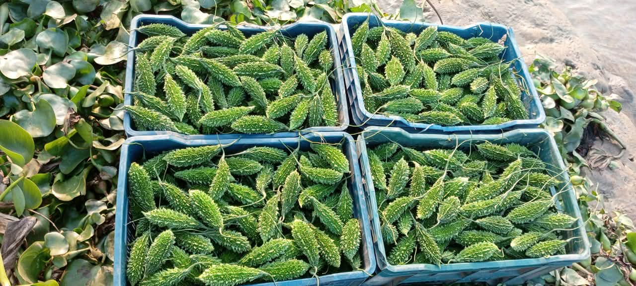 43176f40-7792-4e70-a642-2d71f1e0d46e