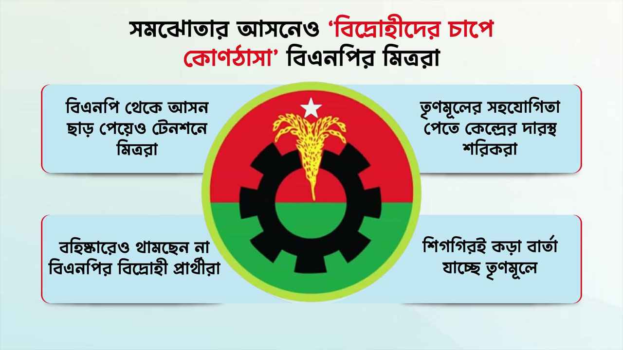 সমঝোতার আসনেও ‘বিদ্রোহীদের চাপে কোণঠাসা’ বিএনপির মিত্ররা