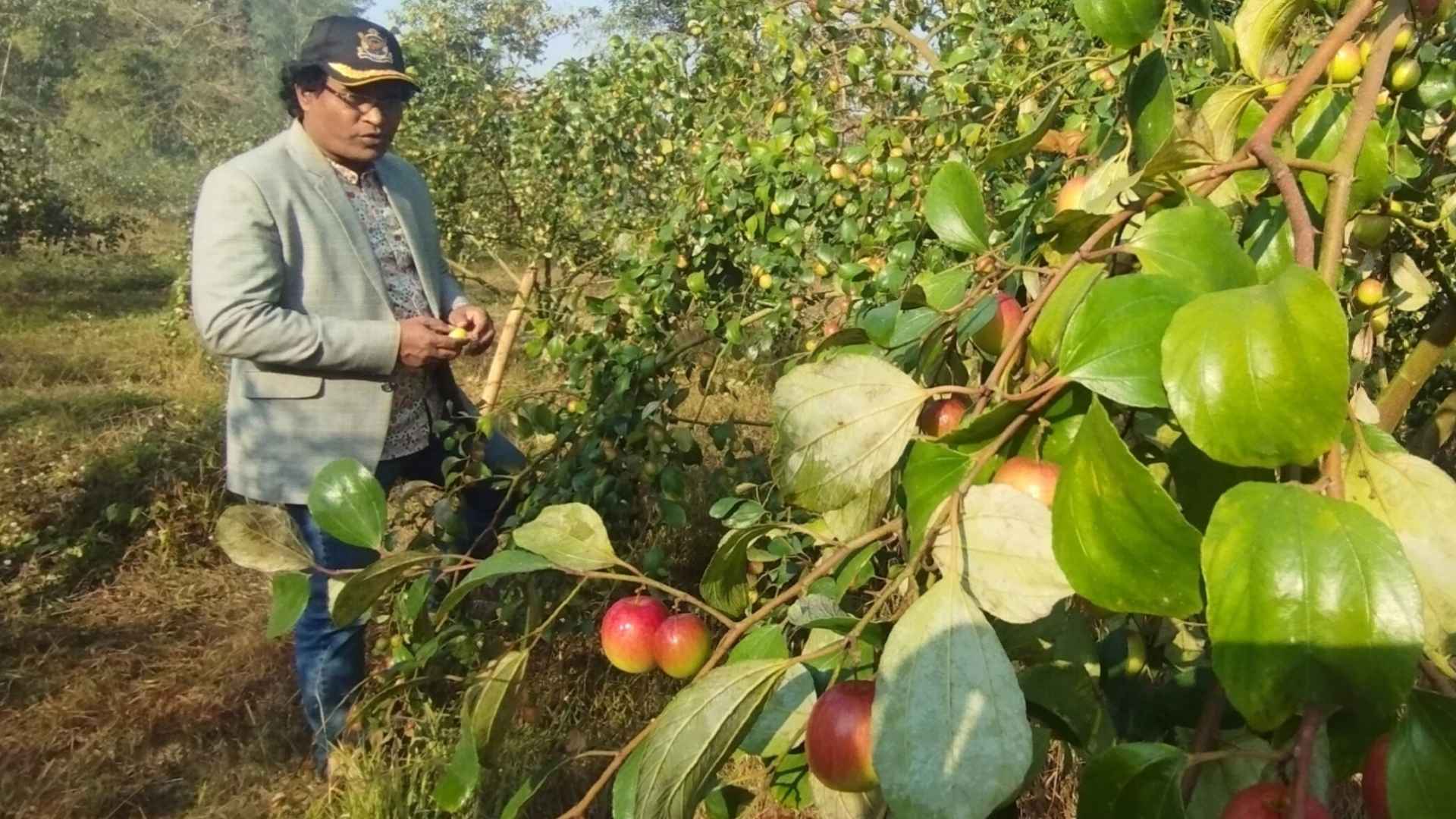সুবিধাবঞ্চিতদের পড়ালেখা করাতে কৃষি উদ্যোক্তা আবুল ফজলের বরই বাগান