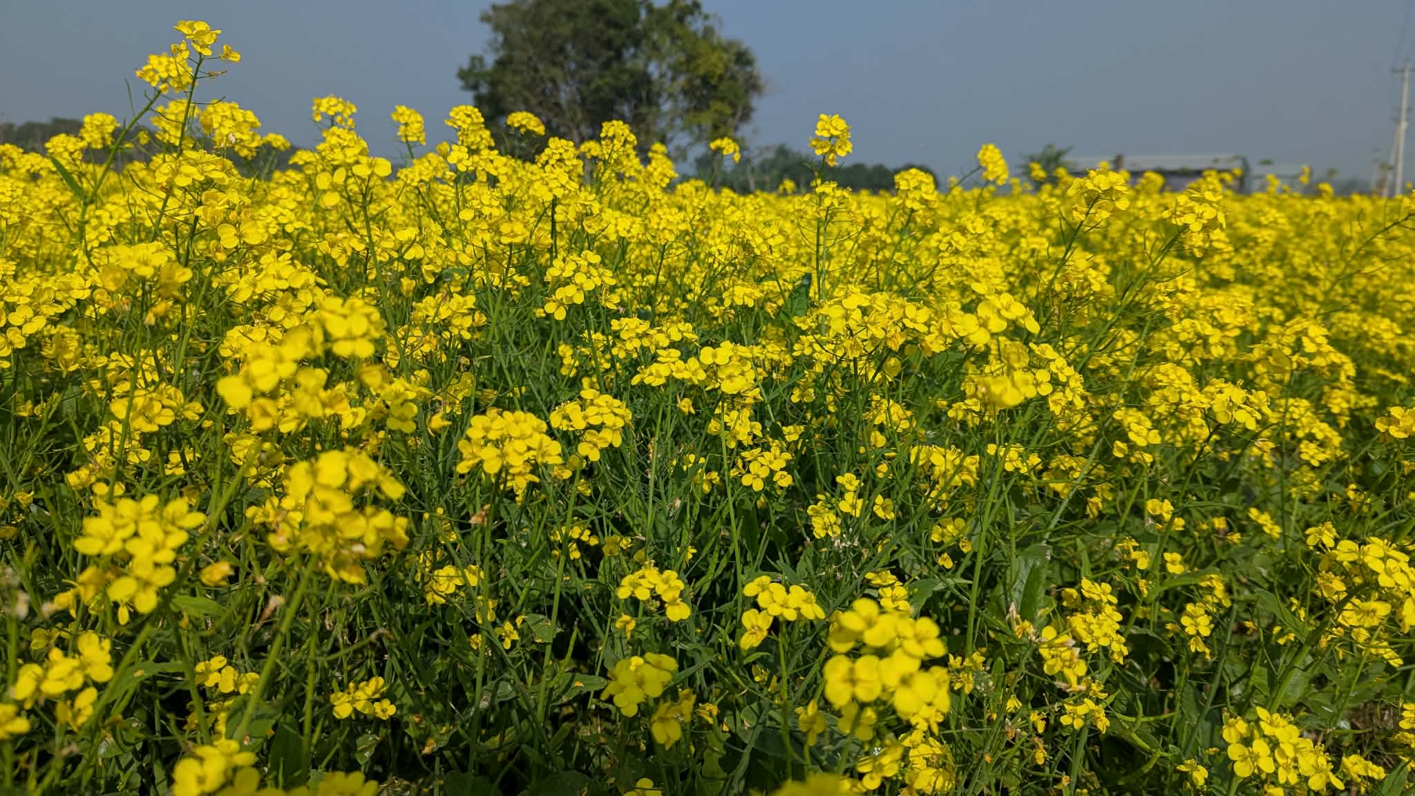 5718a606-3491-4ffb-b128-778ed789def2