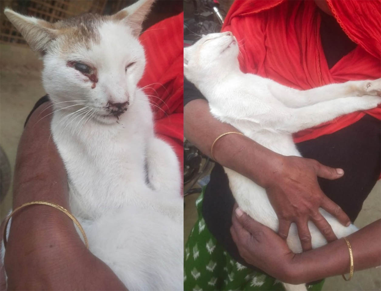 59540801-1e0b-4010-9f81-9bdc535601f2