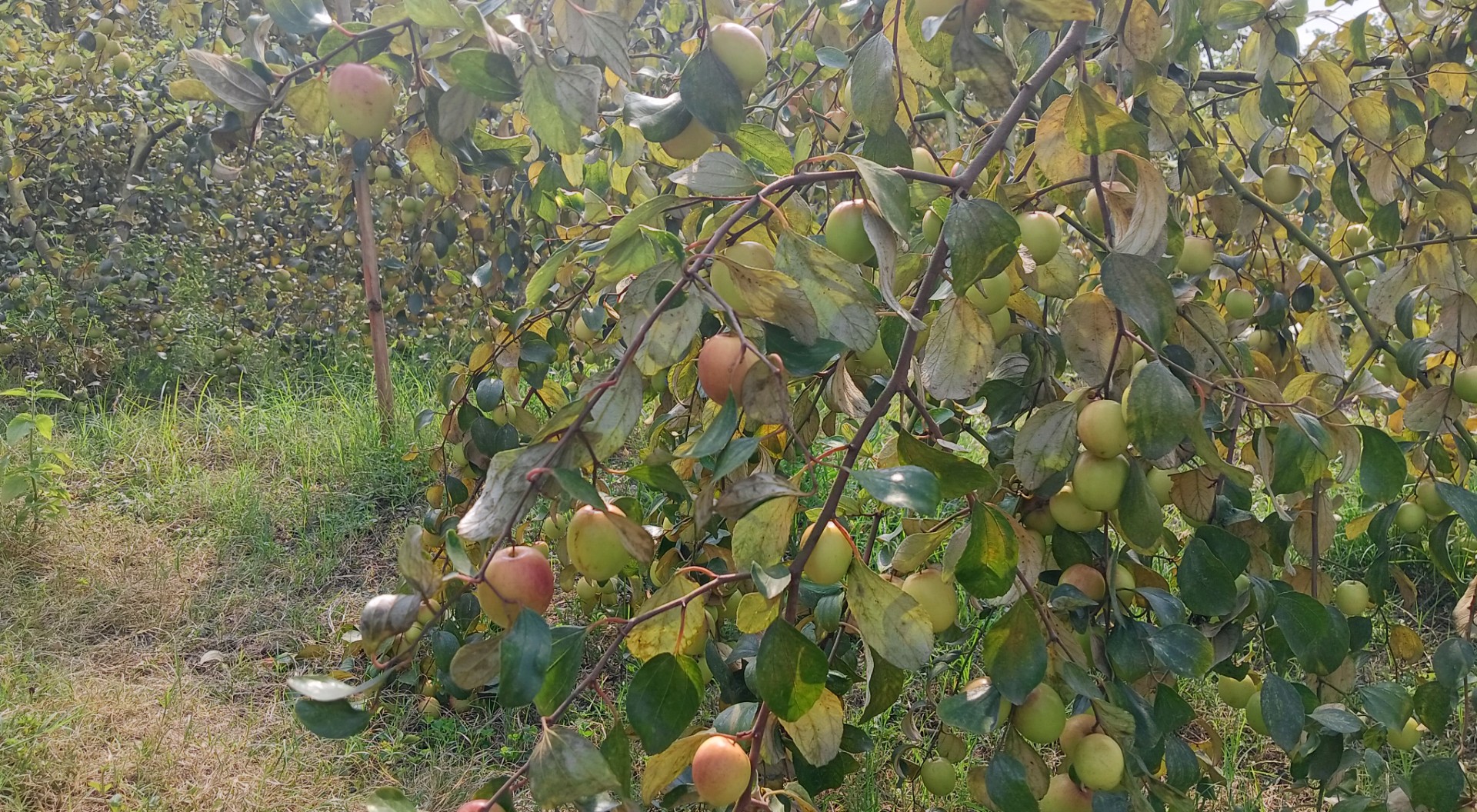 6434fa4f-94ec-4994-9651-1ab0e87e6e04