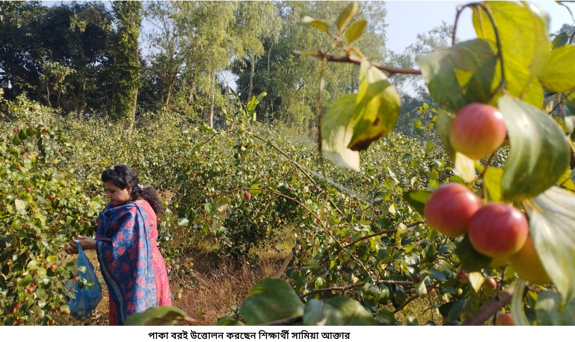 661193ca-fb41-4b8b-97b2-c9a59fa257c2 661193ca-fb41-4b8b-97b2-c9a59fa257c2