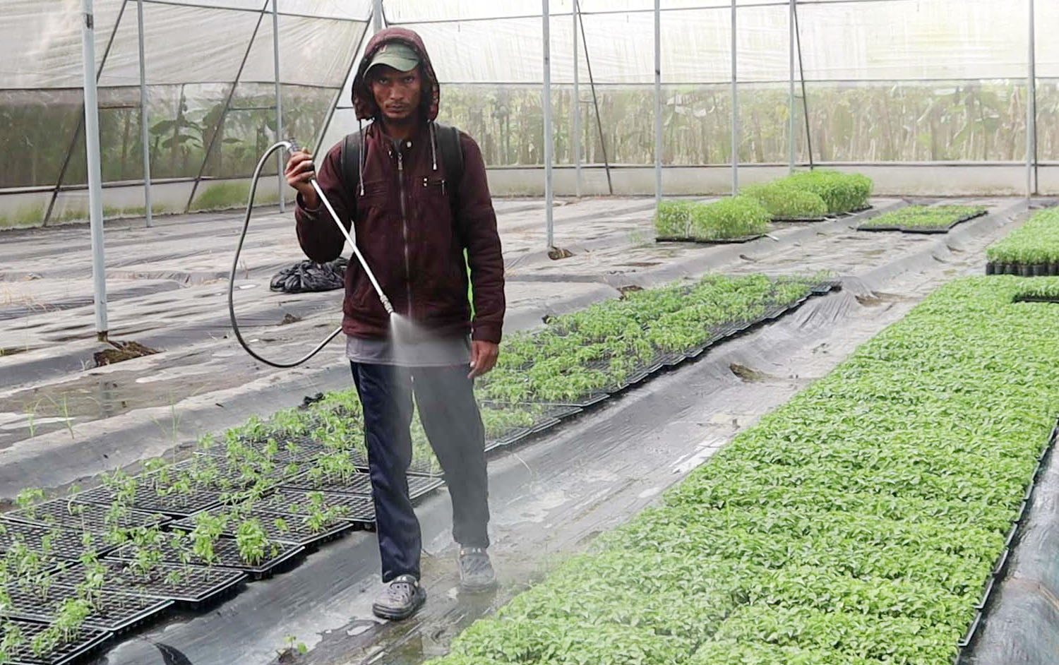 6f96e1bc-dd7e-4be0-a9c2-808992f3e2c1