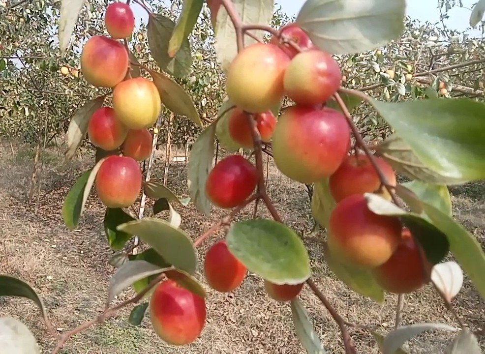 7f0cf181-a1f5-4b75-a195-f604560cf0f2