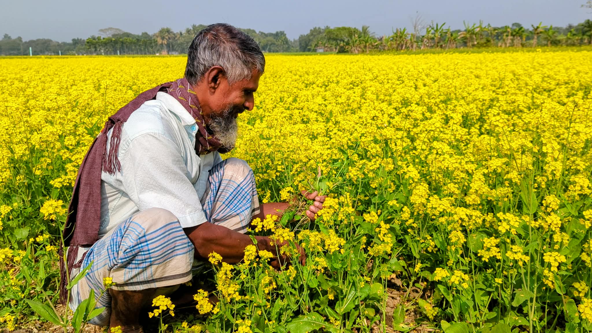 8061f2a2-9eba-4d58-ae67-02dbe9bc6183