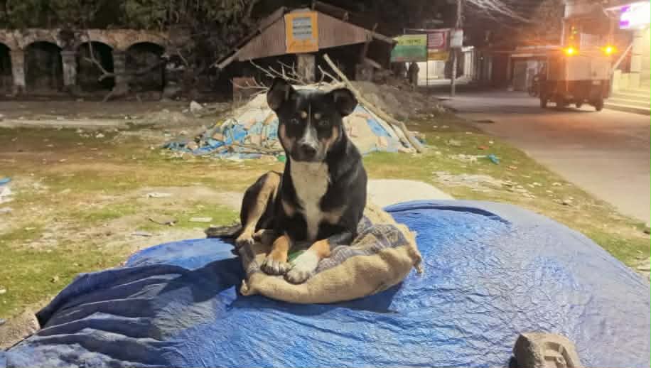 8b26ca7a-ae81-44a5-9d55-28e592928bca