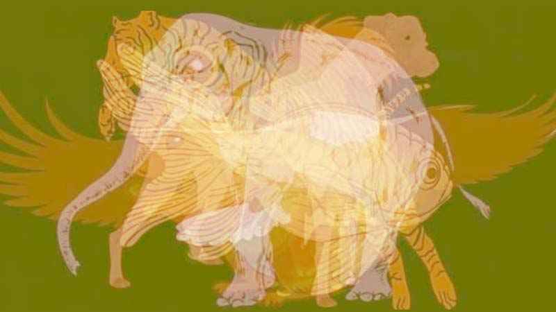 দৃষ্টিভ্রম ছবি, Optical Illusions