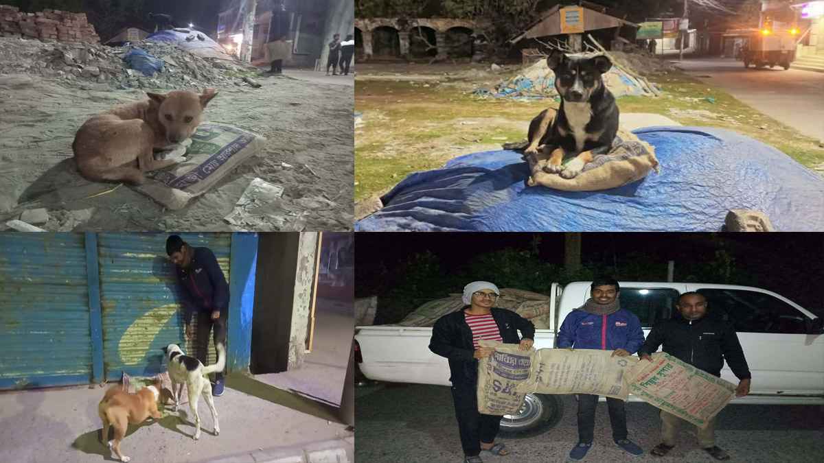 শীতে রাস্তার কুকুরের জন্য দেওয়া হলো বস্তার বিছানা