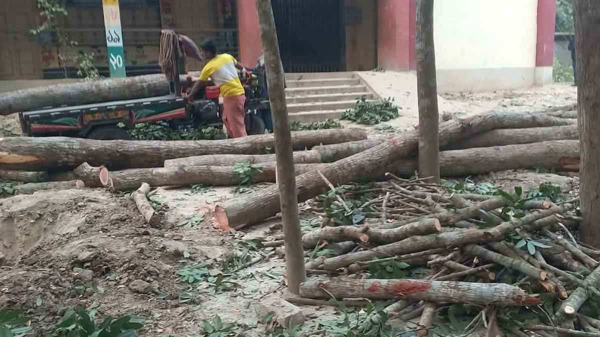 ফরিদপুরে স্কুলের গাছ কাটা নিয়ে দুই পক্ষের সংঘর্ষে আহত ২০