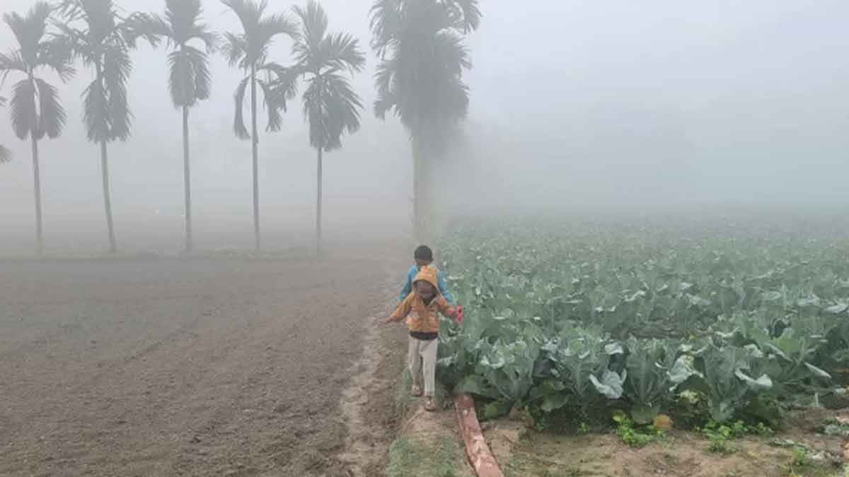 জানুয়ারিতে একাধিক তীব্র শৈত্যপ্রবাহের পূর্বাভাস