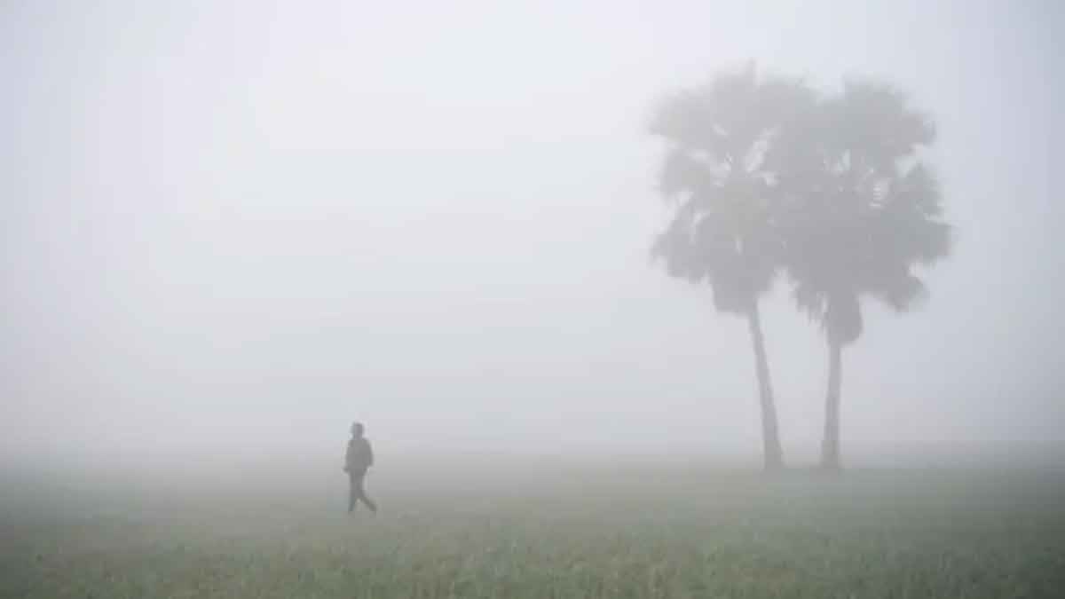 কুয়াশা ও তাপমাত্রা নিয়ে আবহাওয়া অফিসের নতুন বার্তা
