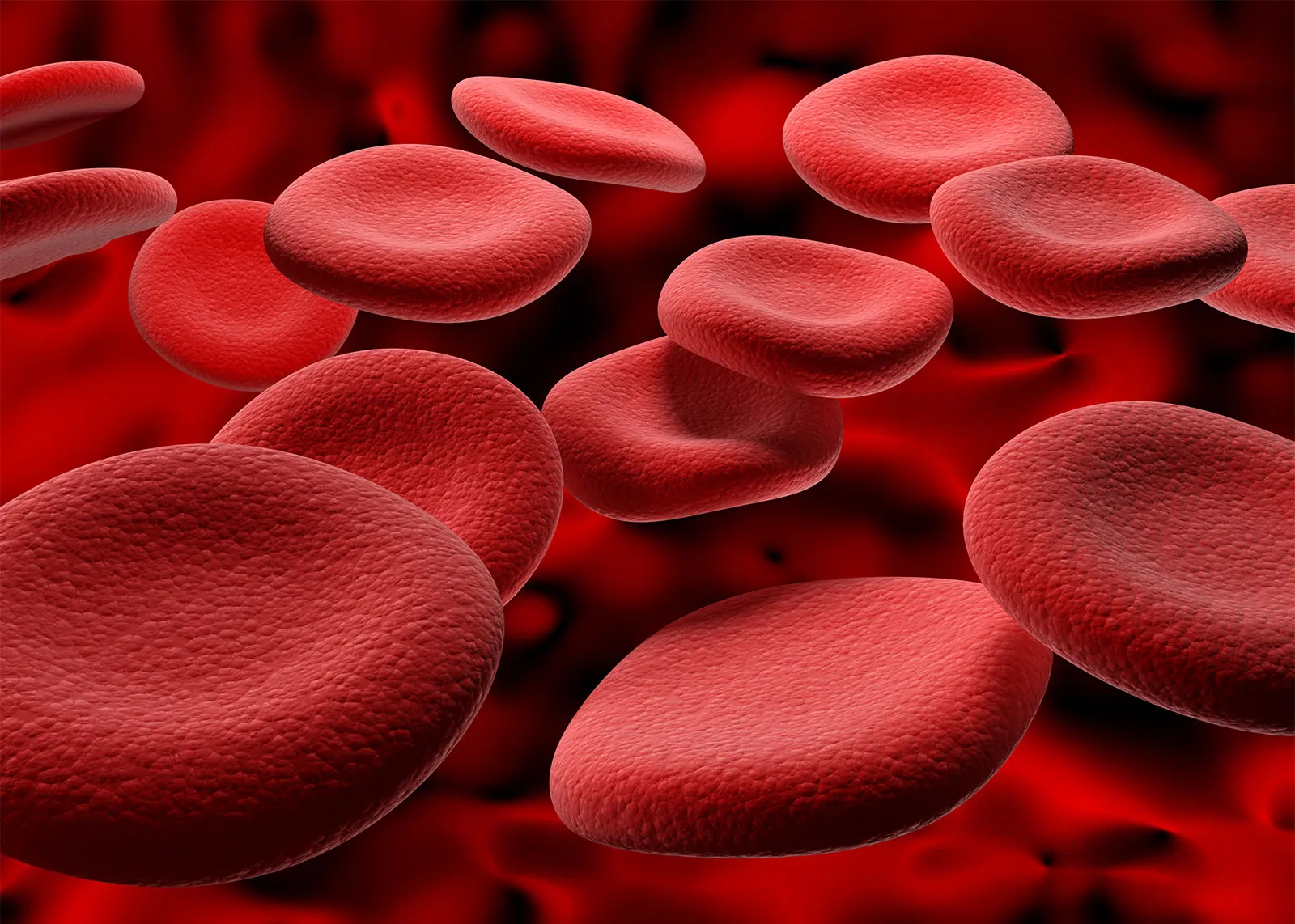 Human-red-blood-cells