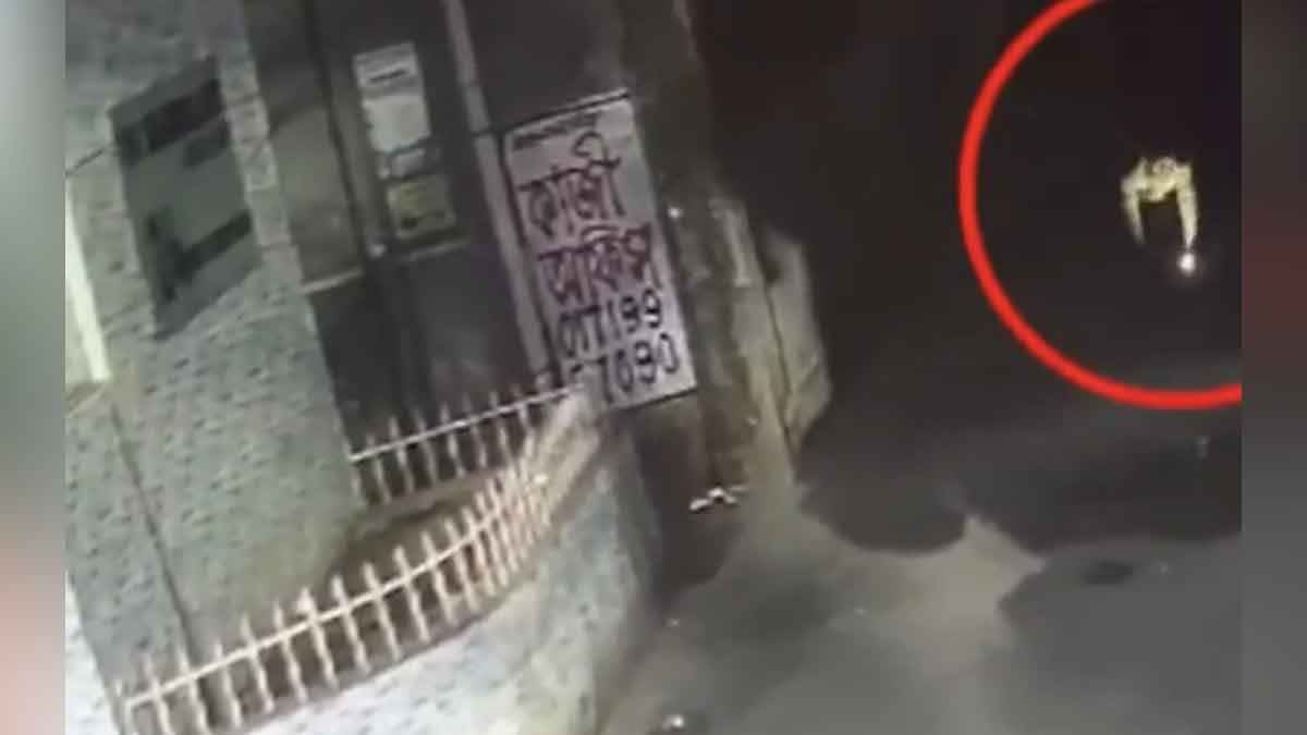 মুছাব্বির হত্যা: ‎ছিন্নমূলের বেশে সন্ত্রাসীরা বস্তার ভেতর লুকিয়ে ছিল