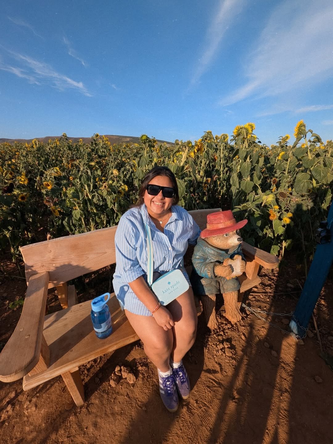 Sunny_days_with_Sunny_flowers_🌻_(1)