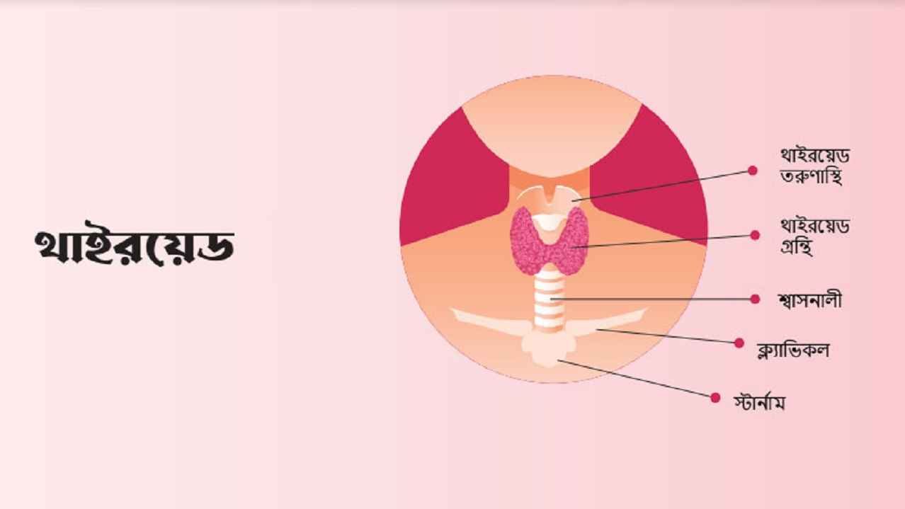 নীরবে ভয়ংকর থাইরয়েড: দেশে ঝুঁকিতে ৫ কোটি মানুষ