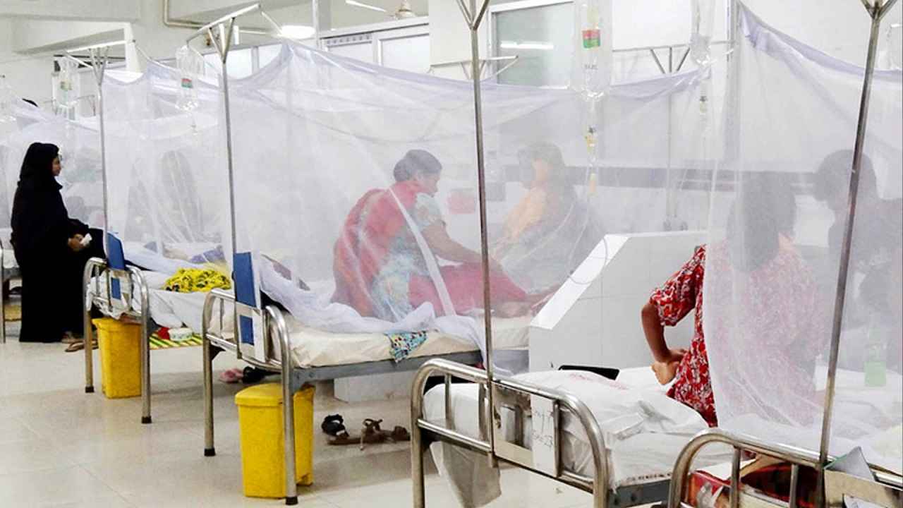 মৃত্যুহীন দিনে হাসপাতালে আরও ৩৪ ডেঙ্গু রোগী