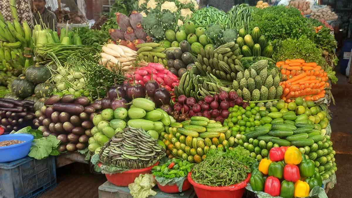 Vege_20260102_111827793