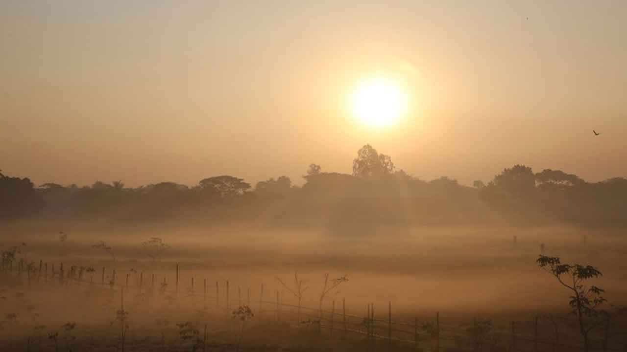 সারা দেশে শুষ্ক আবহাওয়া, ভোরে কুয়াশার সম্ভাবনা