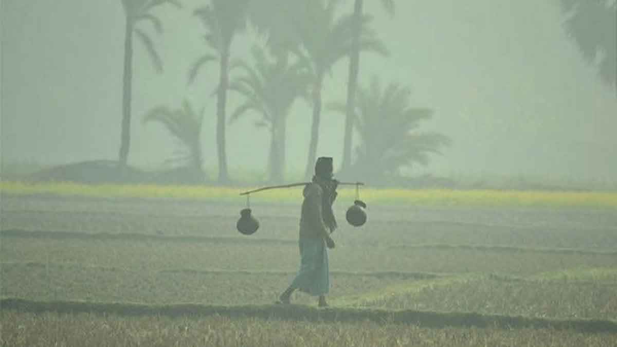 ১৭ জেলায় শৈত্যপ্রবাহ, তাপমাত্রা বাড়তে পারে ২ ডিগ্রি পর্যন্ত