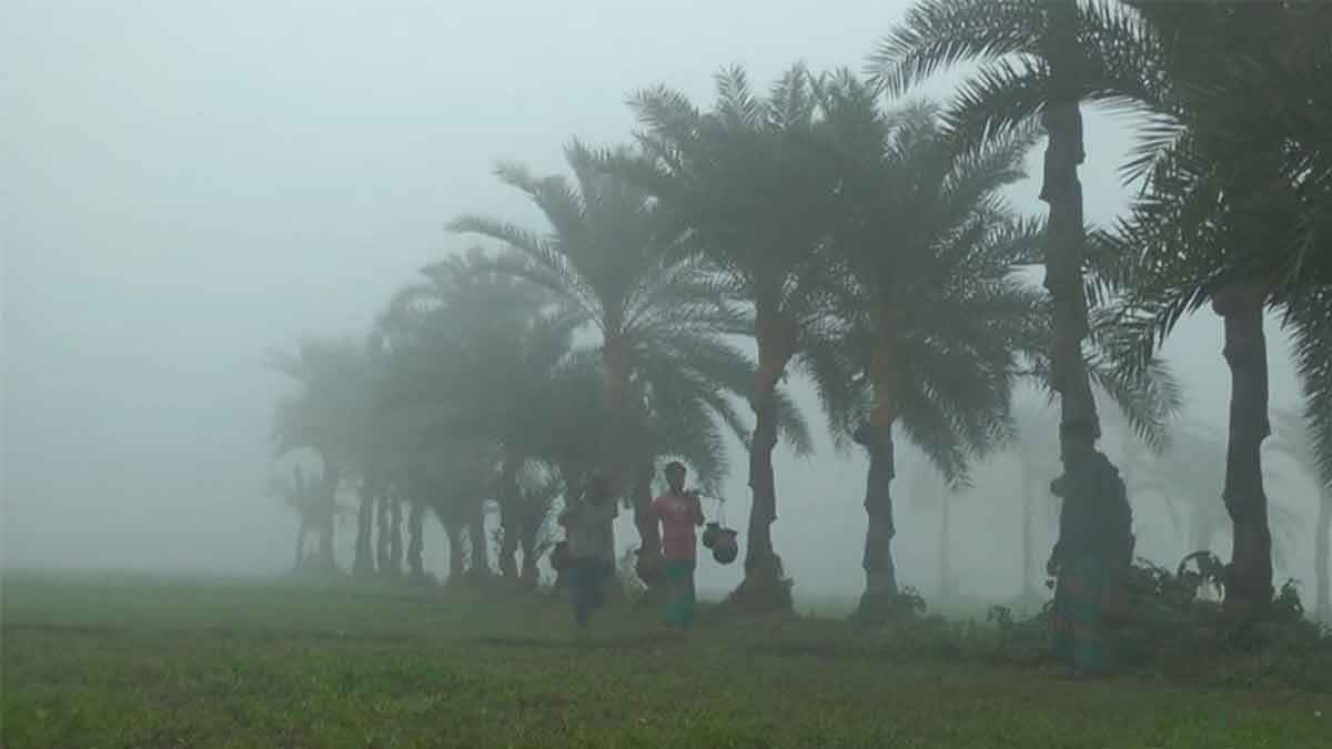 উত্তরে শৈত্যপ্রবাহ, সারা দেশে কুয়াশার পূর্বাভাস