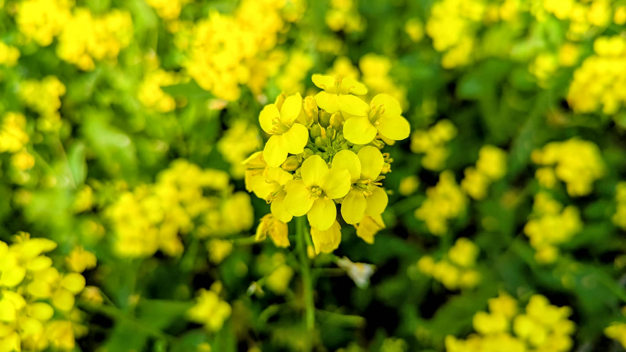 a3884813-685a-4fcb-a4e0-9f790f8f3cae