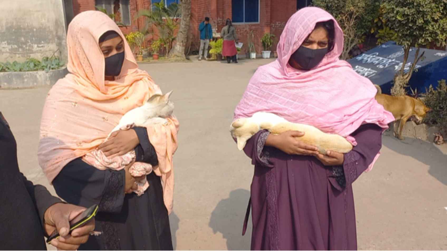 যশোরে দুটি পোষা বিড়ালকে নির্মমভাবে পেটানোর অভিযোগ, একটির মৃত্যু