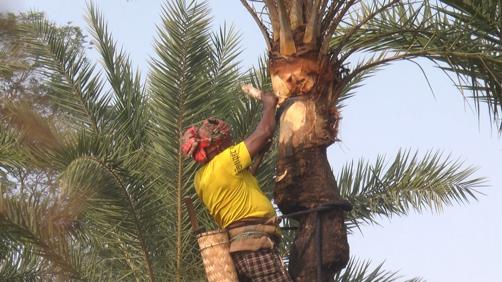 b9a54896-2cf1-4099-bb49-955edde36d1f