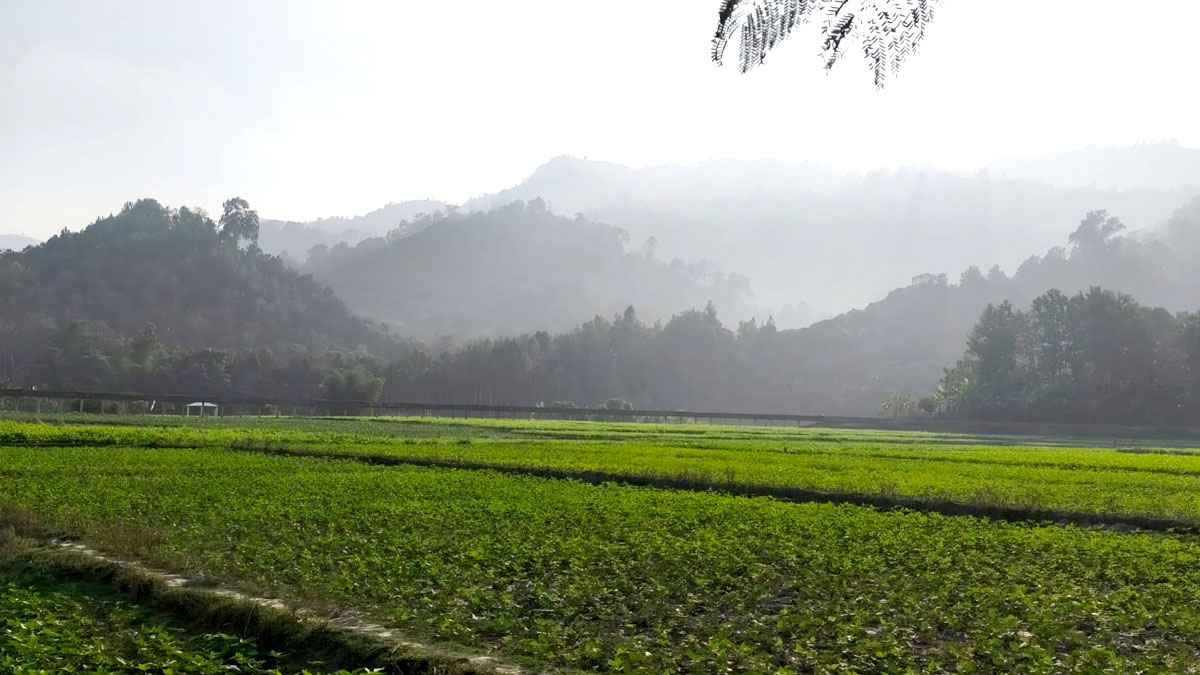 বান্দরবানে সারাদিন মেলেনি সূর্যের দেখা, তাপমাত্রাও কম