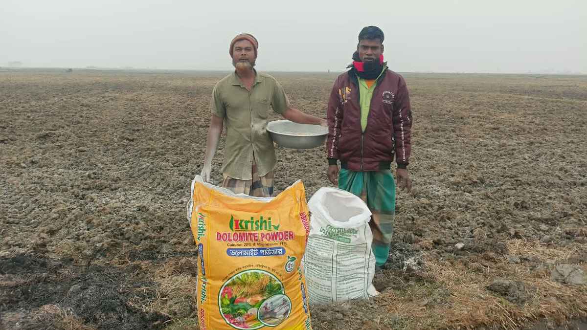 ২০ ইউনিয়নের ২০ বিঘা জমিতে ডলুচুন প্রয়োগ