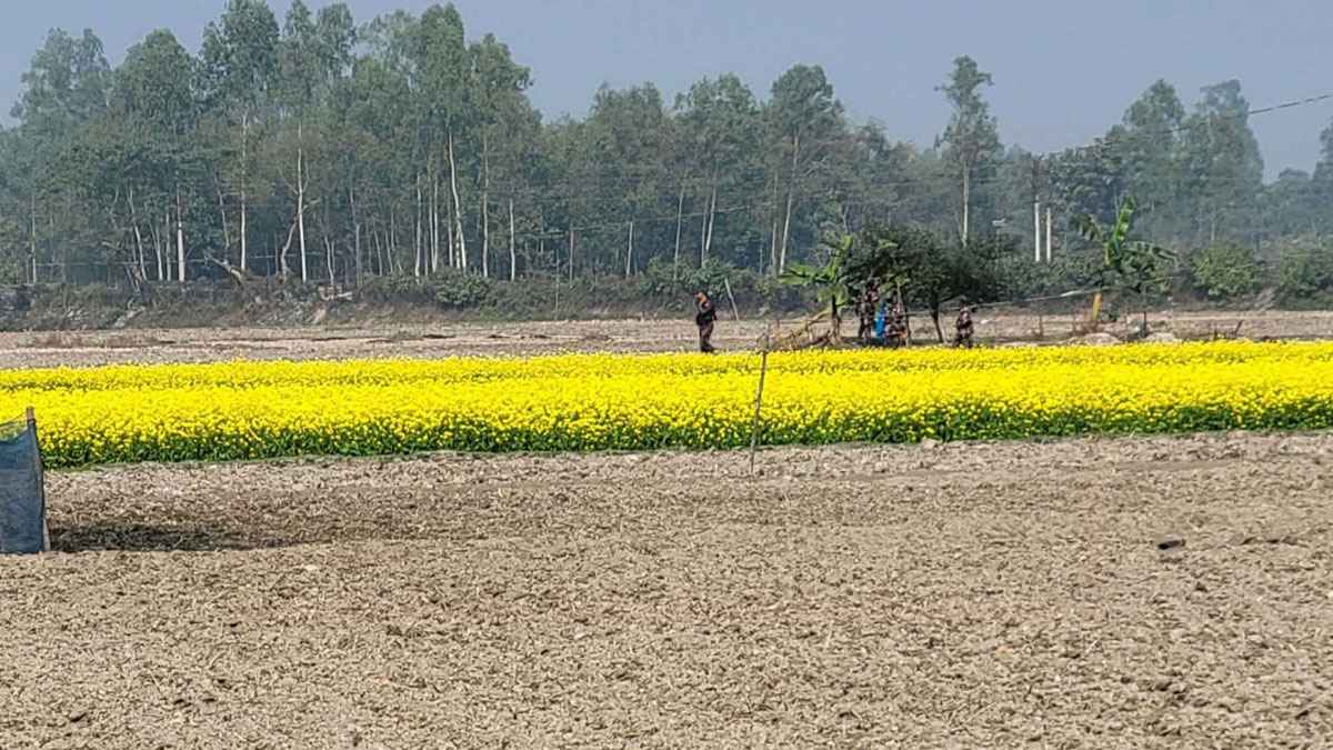 সীমান্তে বিএসএফের পাকা সড়ক নির্মাণ চেষ্টা, বিজিবির বাধা