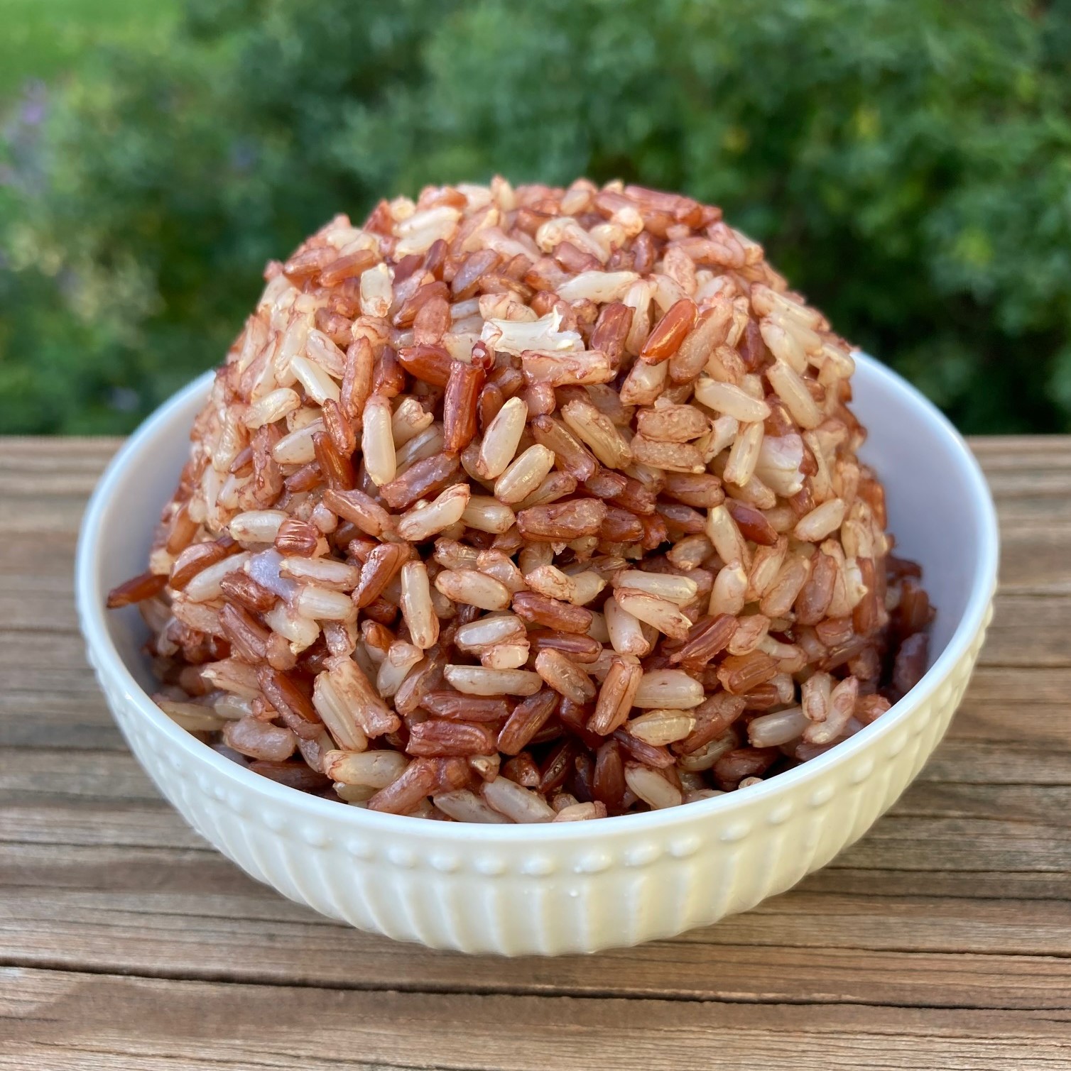 brown-red-rice-ip-outside-sq
