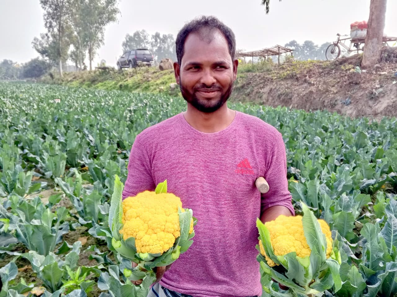 c3781fae-9603-4c98-9978-87cc24b4599f