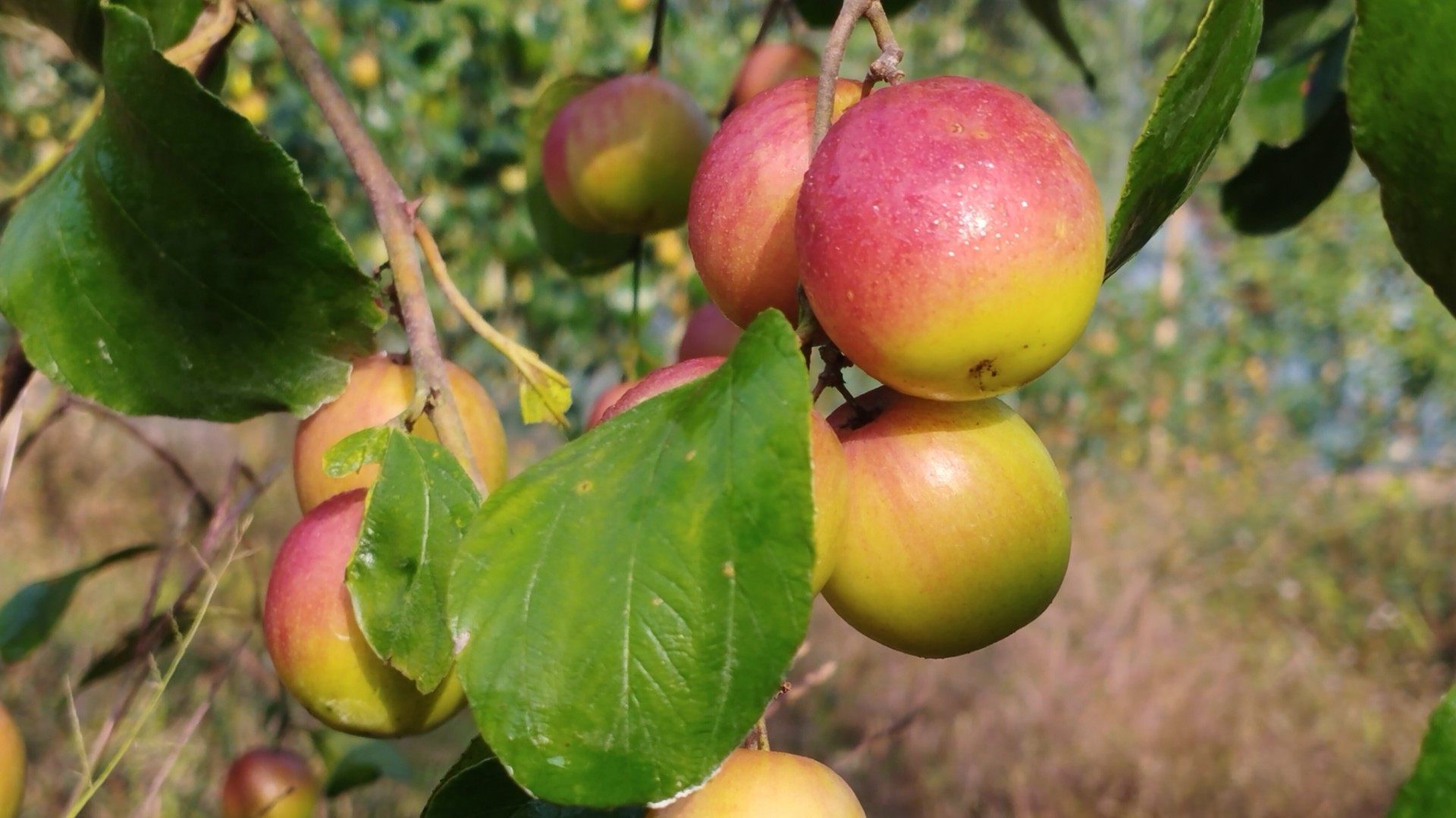 cc3e23da-bc59-4bf7-b035-8bbed02c9232 cc3e23da-bc59-4bf7-b035-8bbed02c9232