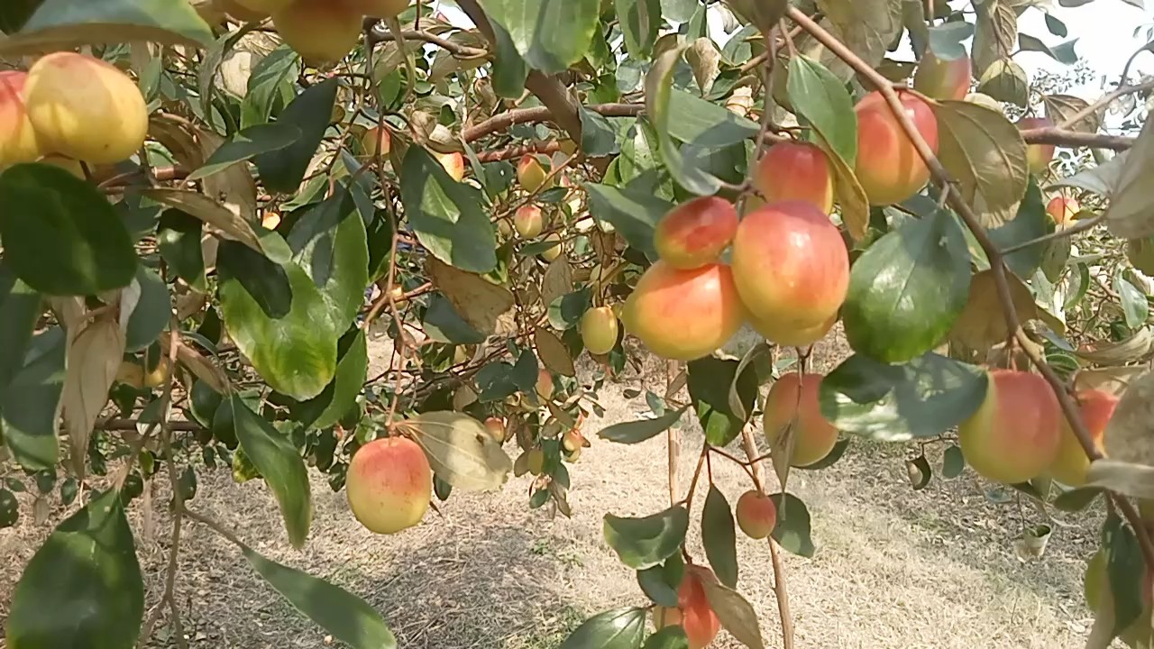 ced0ae5d-d29f-4933-9a8d-3d0eb8cedbdb