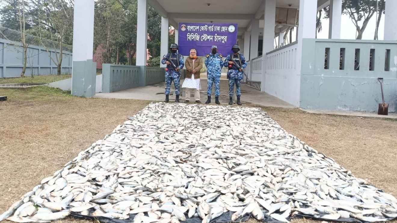 চাঁদপুরে পিকআপ ভ্যান ভর্তি ৩৭ মণ জাটকা জব্দ