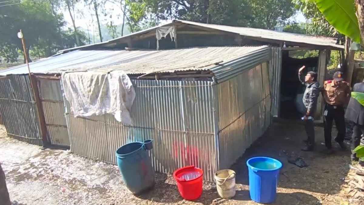 বিপিসির পাইপলাইন ছিদ্র করে তেল চুরি