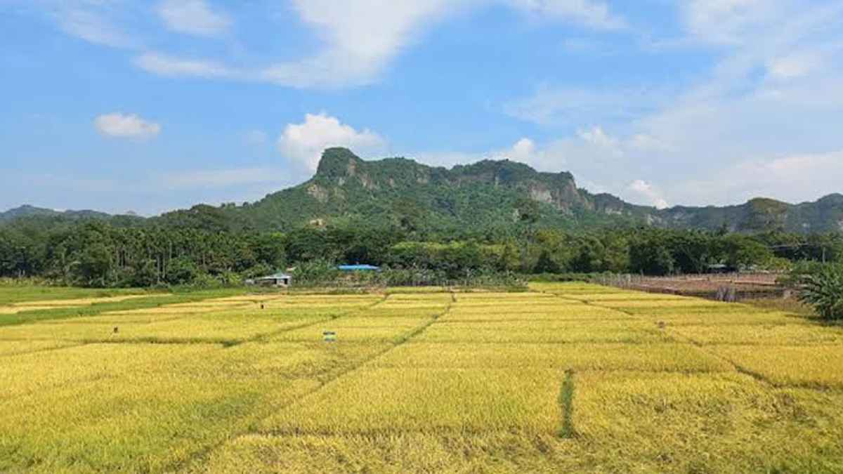 টেকনাফে মানবপাচারকে কেন্দ্র করে গোলাগুলিতে কিশোরীর মৃত্যু