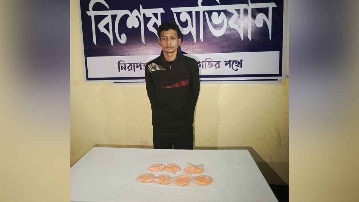 মিরসরাইয়ে সাড়ে ৩ হাজার ইয়াবাসহ মাদক কারবারি গ্রেফতার