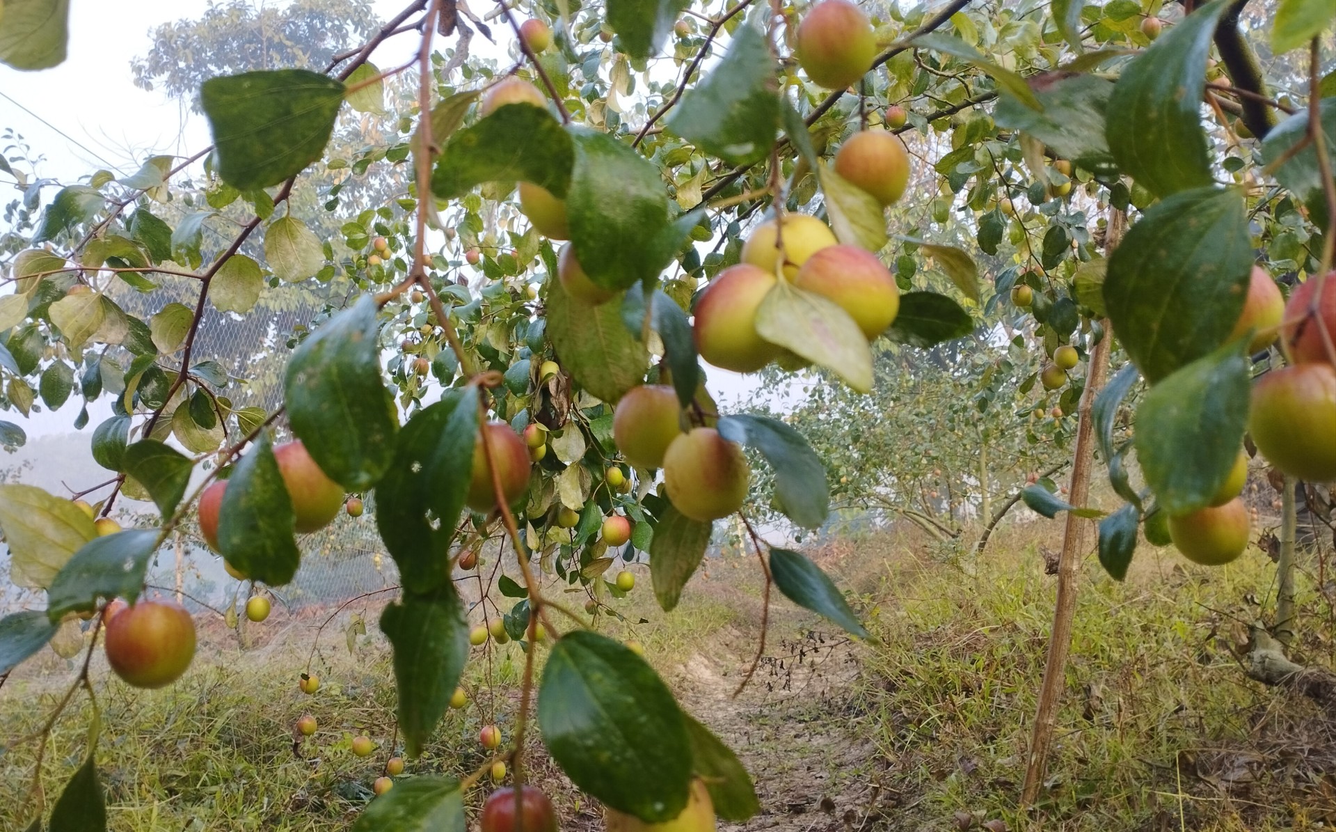 d010c0e8-0d81-4268-8231-38807e3d3195 d010c0e8-0d81-4268-8231-38807e3d3195